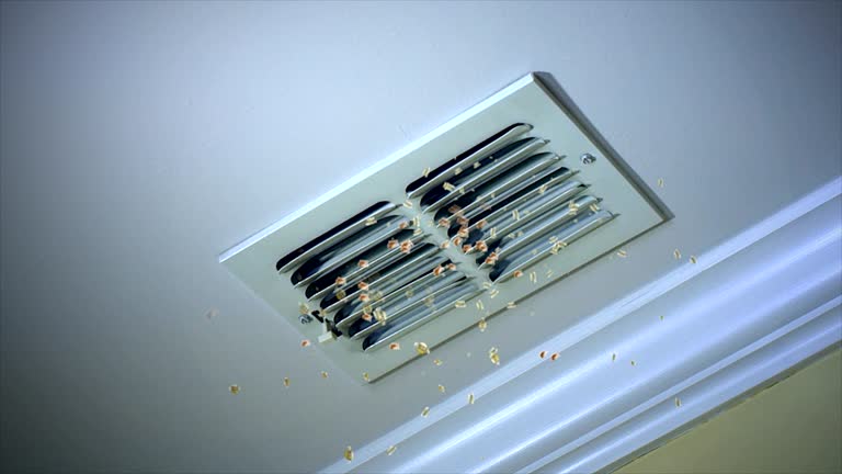 Best Affordable Air Duct Cleaning  in Los Gatos, CA