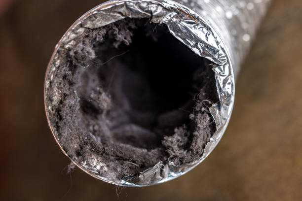 Best HVAC Air Duct Cleaning  in Los Gatos, CA